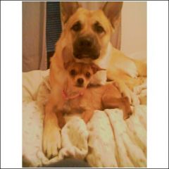 These are my babies!! Big Boi and Kahlua