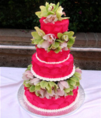 fushia wedding cake, again...sometimes I wonder what people are thinking when they tell me what they want, but it always seems to turn out okay!