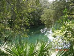Blue Spring, Florida