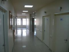 The hospital hallway