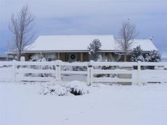 Our House - January 2011 Snow