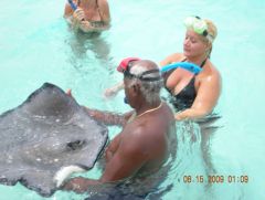 Swimming with the Sting Rays in The Caymans
