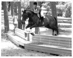 Rocky, Mokelumne Hill horse trials, 1986a