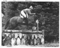 Rocky, Lily Glen horse trials 1985