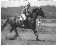 Rocky, Lily Glen horse trials 1986