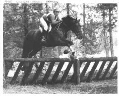 Rocky, Lily Glen horse trials, 1985a