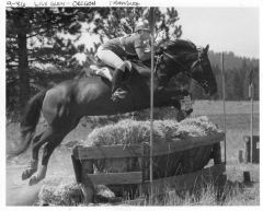 Rocky, Lily Glen Horse trials, 1986a