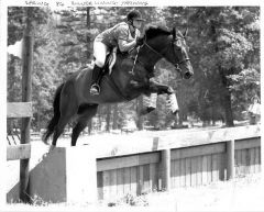 Rocky, Mokelumne Hill horse trials, 1986
