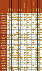 spice chart 01