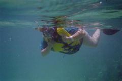 Snorkling in Mexico