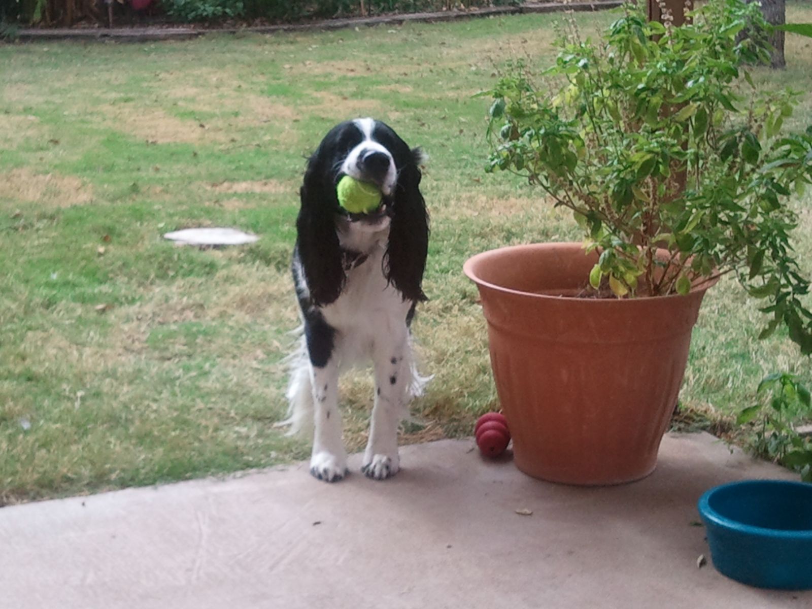 Bella and Brody