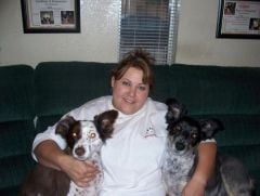 September 2008
Sadie, me and Cody...Our two border collies, after their haircut.