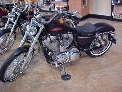 My new Harley Davidson 