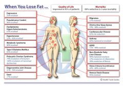 diagram when You lose Fat