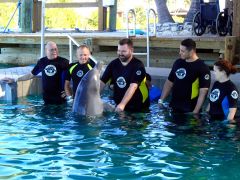 The "Before" me dancing with a dolphin