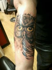 My owl