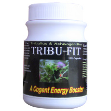 tribufit energybooster