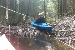 Kayaking over beaver dams...full body workout!