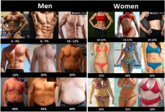Body Fat Images