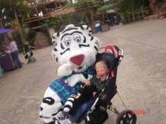 Kelsey playing with the tiger!