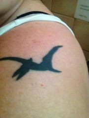 Pterodactyl tattoo