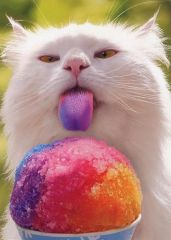 kitty tongue