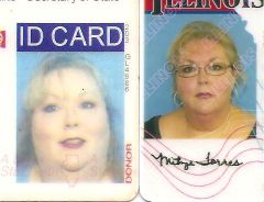 Driver's License 
2003-2009