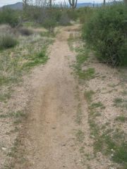 02 26 10
9 mile trail run/hike on Sonoran Desert Preserve!