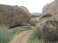 02 26 10
9 mile trail run/hike on Sonoran Desert Preserve!