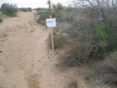 02 26 10
9 mile trail run/hike on Sonoran Desert Preserve!
(mile 7)