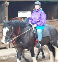 2004 Poor Horse - they gave me a Shire Horse!!