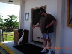 Me in the everglades, with a skinny heron.  I'm about 403 here.