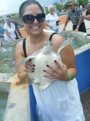 Turtle Farm - Grand Cayman