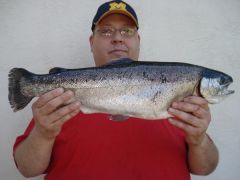 5-31-08 8lb. rainbow trout.