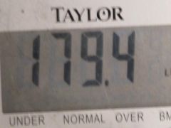 ANOTHER MILESTONE..Belowe 180...I only have 19.6 lbs to lose to goal................I can't believe it...YEAH ME