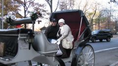 I so wanted this to be an awesome pic...me and my love on a carriage ride, my weight totally overshadows the pic.