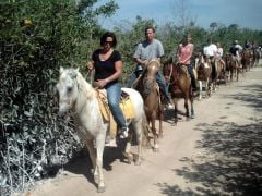 Cancun June 2008. I could actaully ride the horses this time.