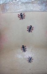 I always wanted a tattoo..so I finally lost some weight and got one..I have ants going into my pants! Completely orginal. I like bugs and its funny