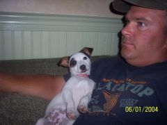 ANDY AND SOPHIE OUR JACK RUSSELL