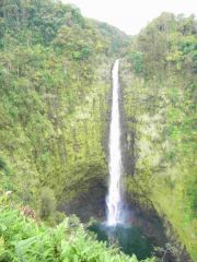 Akaka falls, Hawaii... 420 feet drop