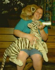 I am fullfilling one of my dreams of touching a Real live tiger and Monkey.  They were both just babies