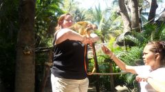 Me & Monkey in Mexico