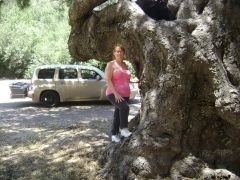 Hans Christian Andersen Park, Solvang Calif June 2011