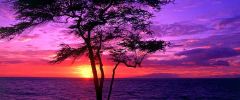 Purple-Sunset.jpg