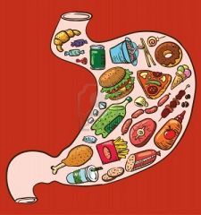 8596471-stomach-full-of-fast-food.jpg