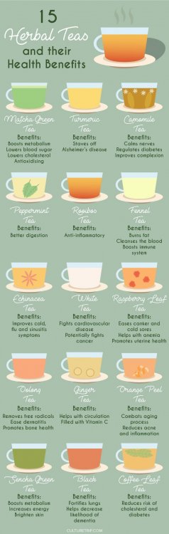 15 Herbal Teas and Their Health Benefits.jpeg
