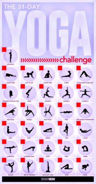 31-Day Yoga Challenge~4.jpeg