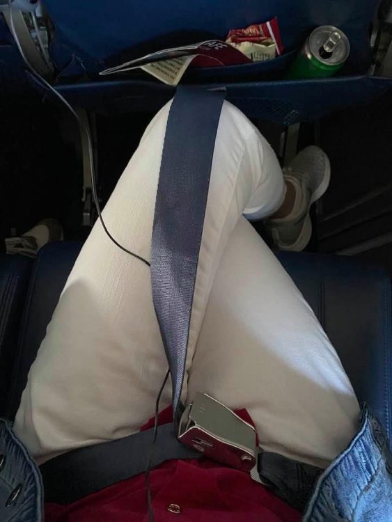 seat belt 2.jpg