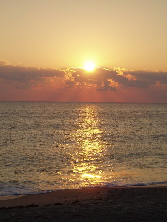 Sunrise at walloston beach 025.JPG